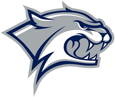 Flag of New Hampshire Wildcats Logo