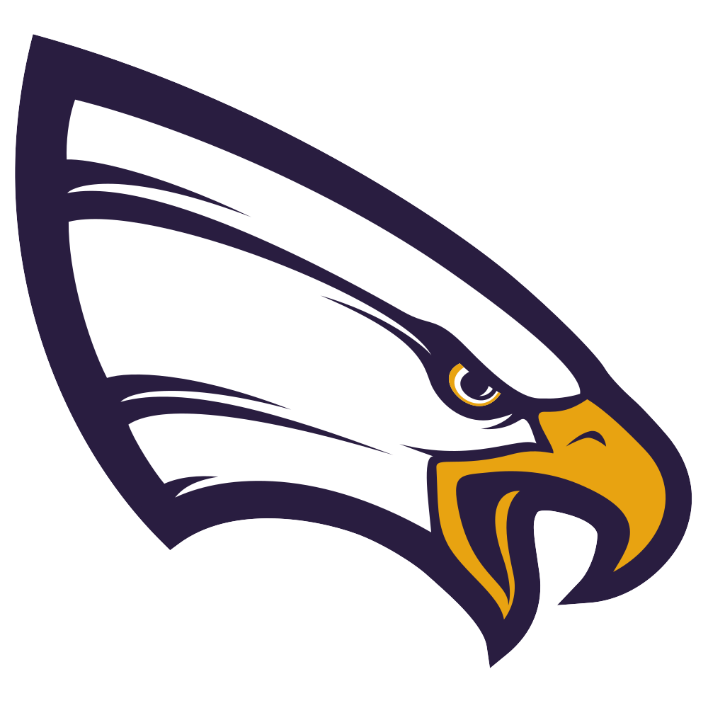 Flag of University of Northwestern-St. Paul Eagles Logo