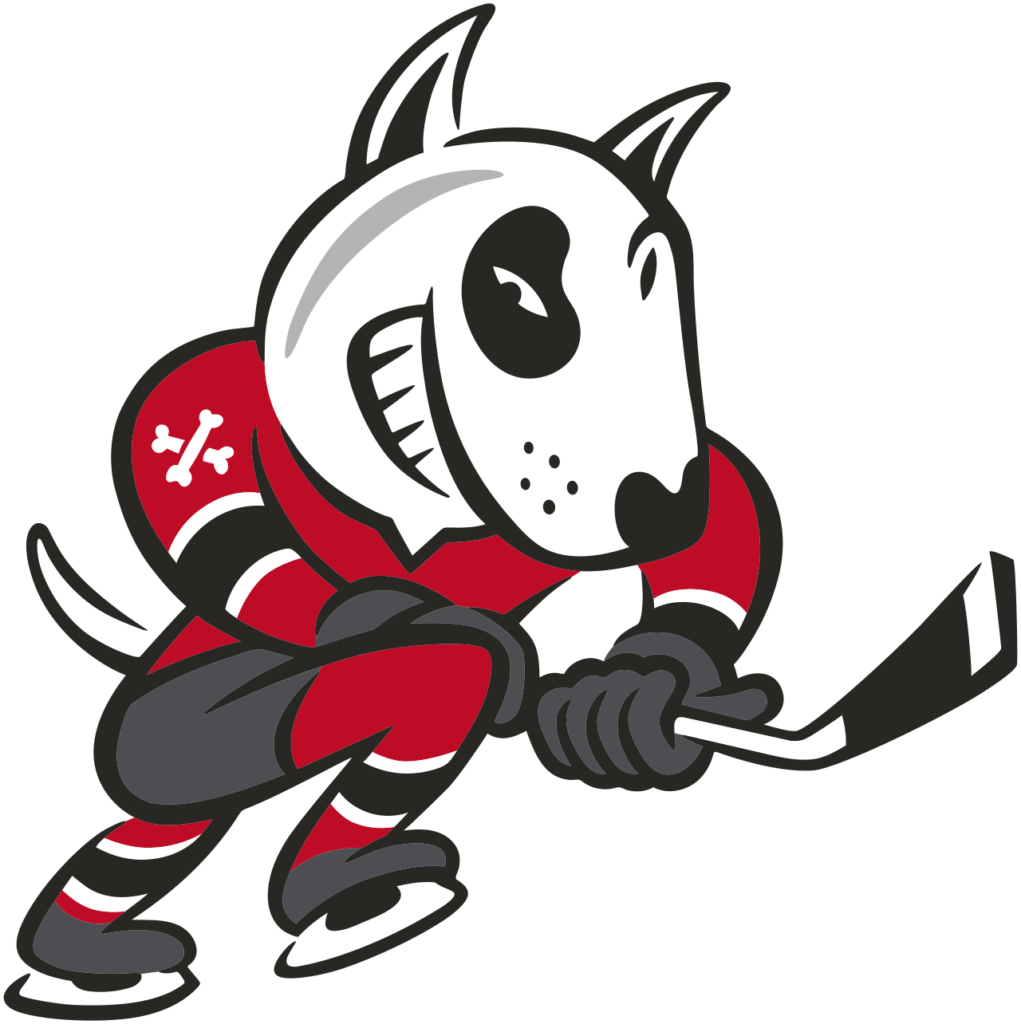 Flag of Niagara IceDogs Logo