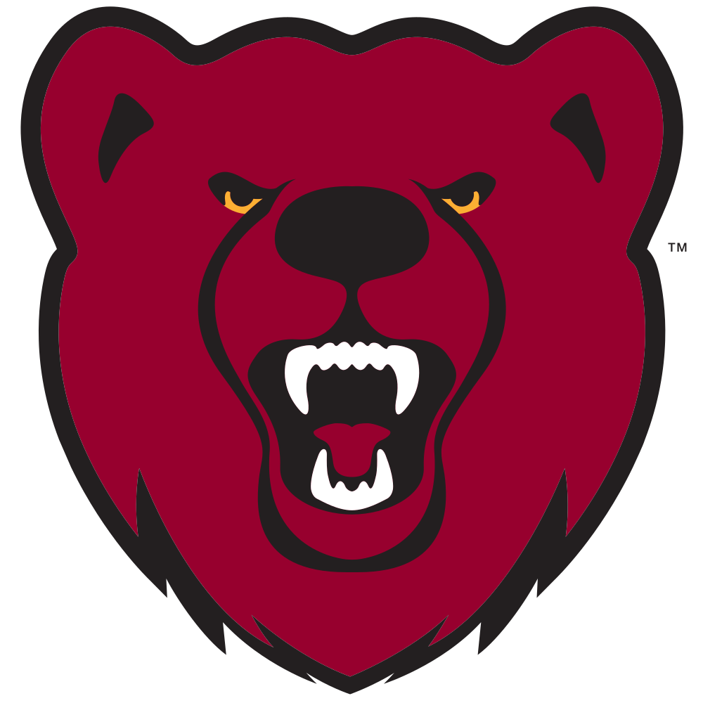 Flag of Ursinus College Bears Logo