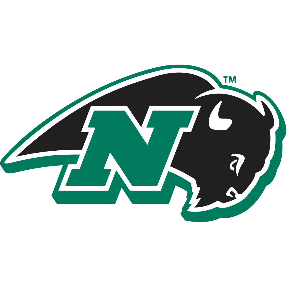 Flag of Nichols College Bison Logo