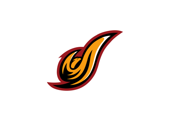 Flag of District of Columbia Firebirds Logo