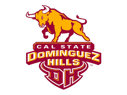 Flag of Cal State Dominguez Hills Toros Logo