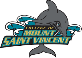 Flag of College of Mount Saint Vincent Dolphins Logo