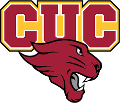 Flag of Concordia University Chicago Cougars Logo