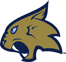 Flag of Thiel College Tomcats Logo