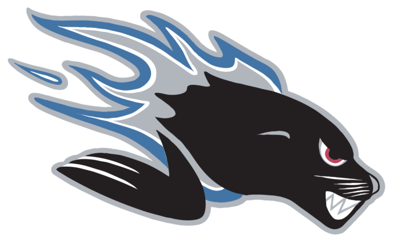 Flag of Saint John Sea Dogs Logo