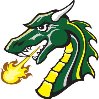 Flag of Tiffin Dragons Logo