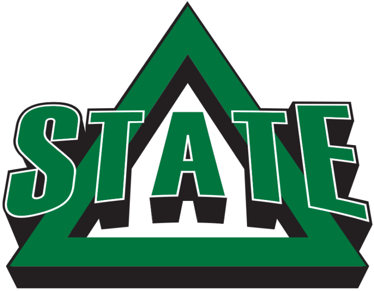 Flag of Delta State Statesmen and Lady Statesmen Logo