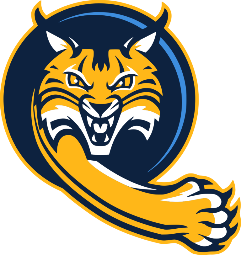 Flag of Quinnipiac Bobcats Logo