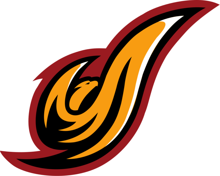 Flag of District of Columbia Firebirds Logo