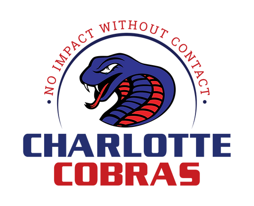 Flag of Charlotte Cobras Logo