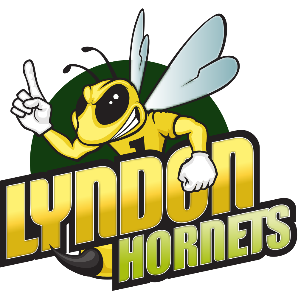 Flag of Lyndon State College Hornets Logo