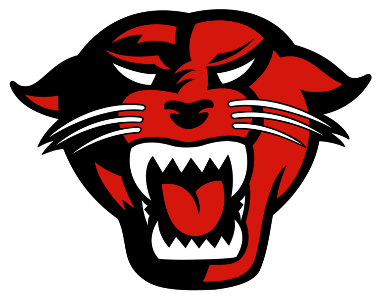 Flag of Davenport Panthers Logo