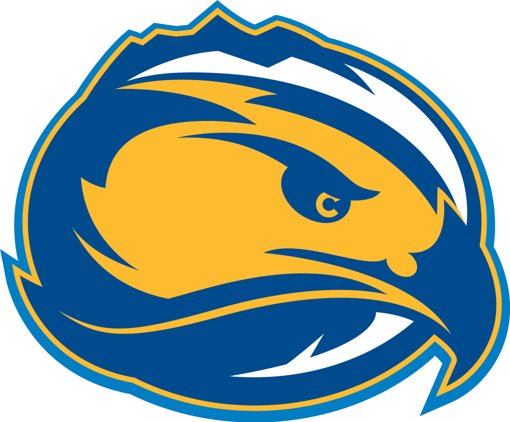 Flag of Fort Lewis Skyhawks Logo