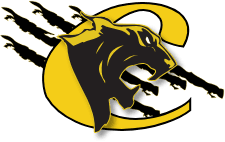 Flag of Medgar Evers College Cougars Logo