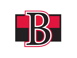 Flag of Belleville Senators Primary Logo