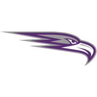 Flag of University of the Ozarks Eagles Logo