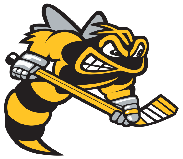 Flag of Sarnia Sting Logo