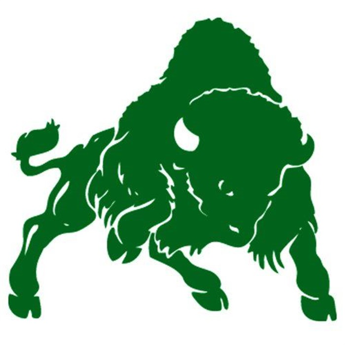 Flag of Bethany College Bison Logo