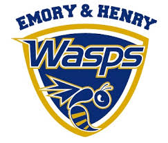 Flag of Emory and Henry College Wasps Logo