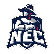 Flag of New England College Pilgrims Logo