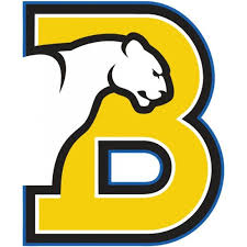 Flag of Birmingham-Southern College Panthers  Logo