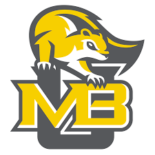 Flag of Mary Baldwin University Logo
