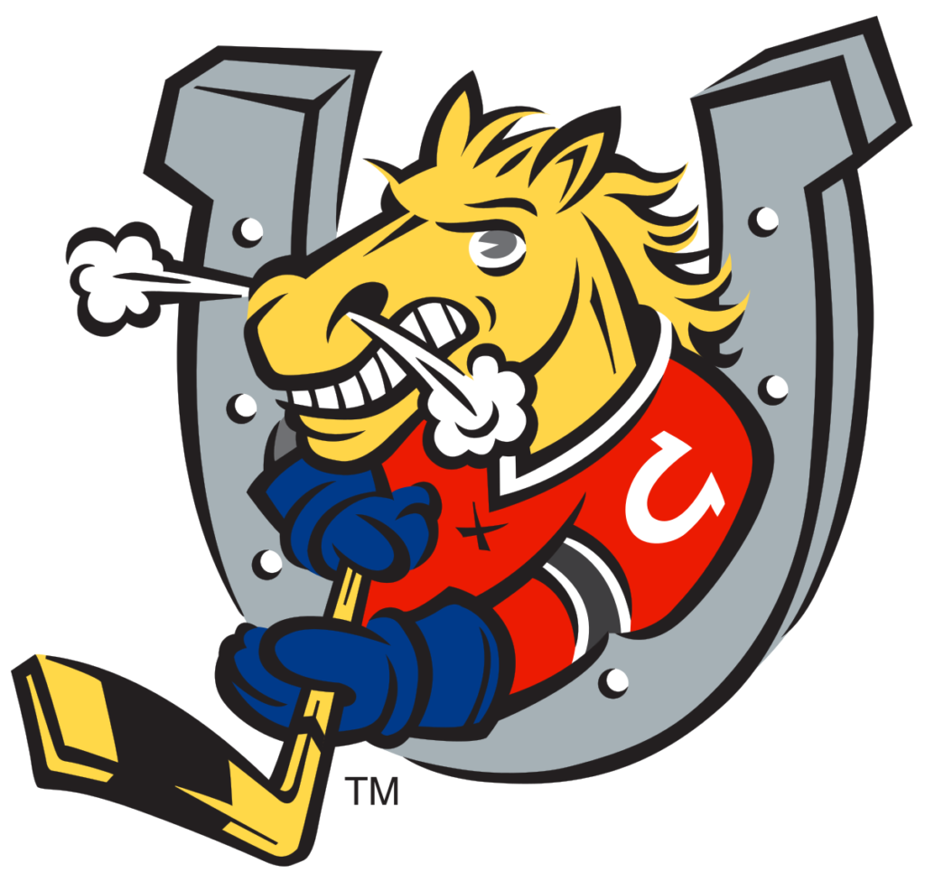 Flag of Barrie Colts Logo