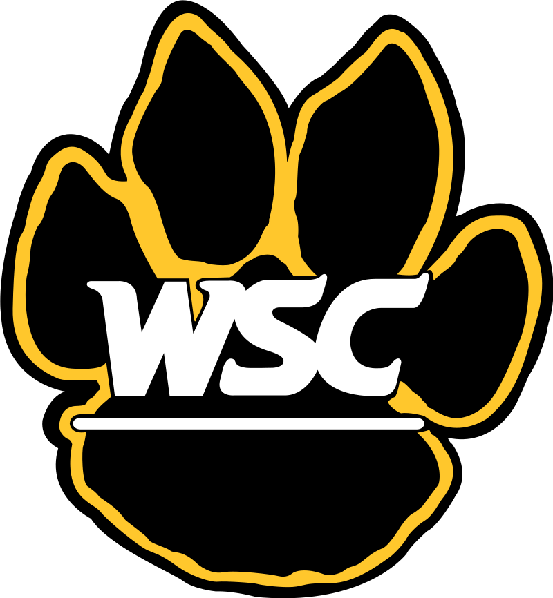Flag of Wayne State Wildcats Logo