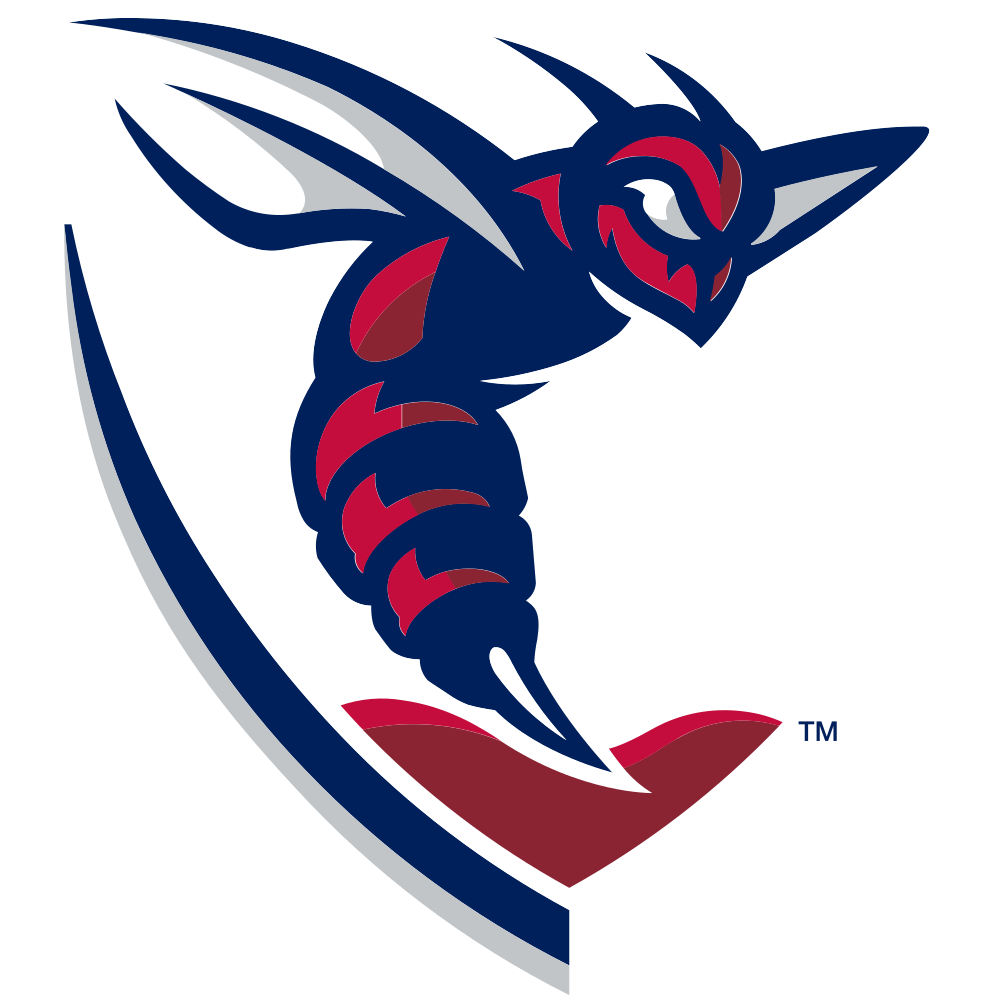 Flag of Shenandoah University Hornets Logo