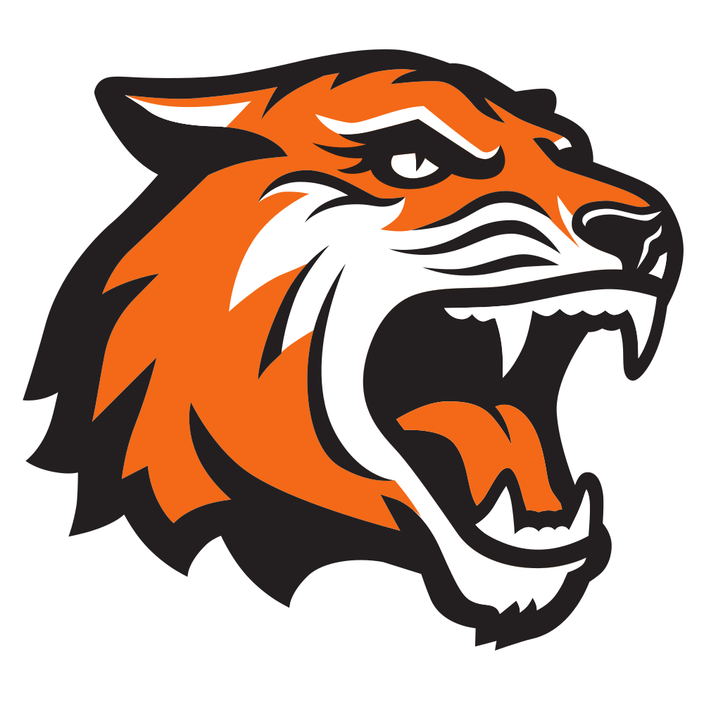 Flag of Rochester Institute of Technology Tigers Logo