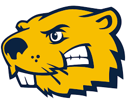 Flag of Buena Vista University Beavers logo