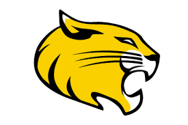 Flag of Randolph College WildCats Logo