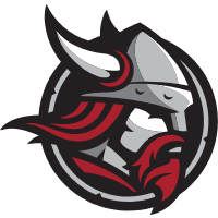 Flag of Bethany Lutheran College Vikings Logo