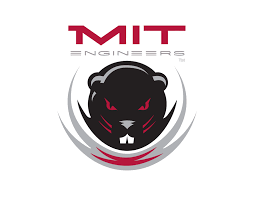 Flag of MIT Engineers Logo