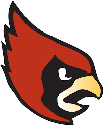 Flag of Catholic University Cardinals Logo