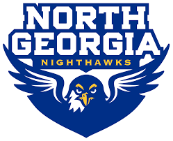 Flag of North Georgia Nighthawks Logo