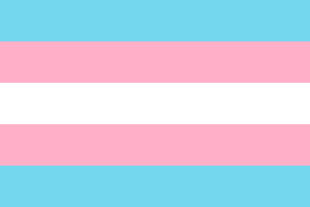 Flag of Transgender